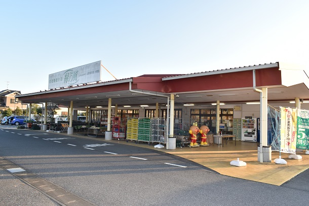 山武緑の風 大網店