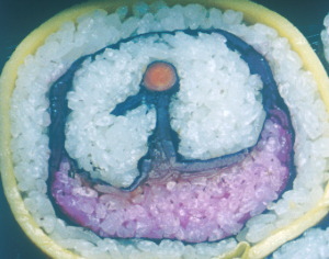 鶴